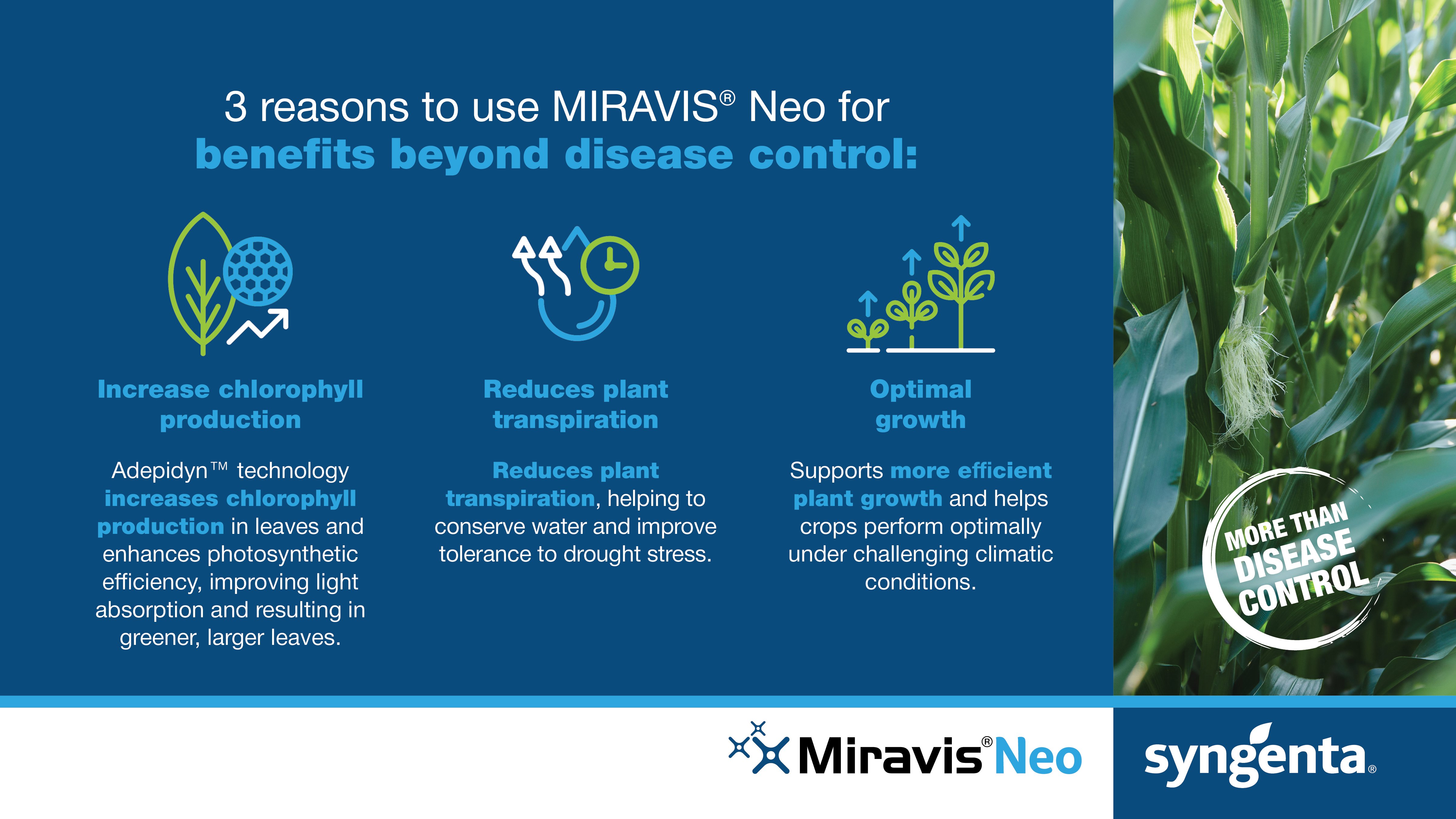 MIRAVIS campaign visual