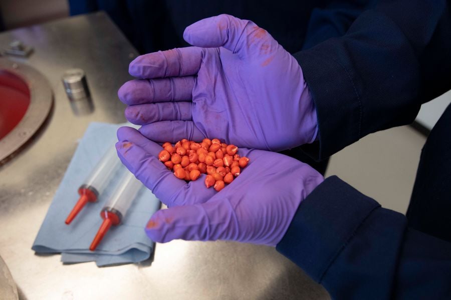 Hands with treated seeds