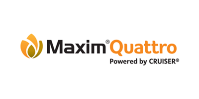 Maxim Quattro Logo