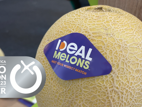 Ideal melon post