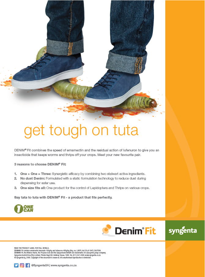 Get tough on Tuta with DenimFit