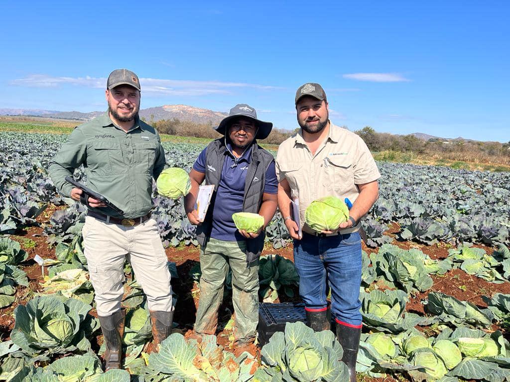 South Africa Veg Team