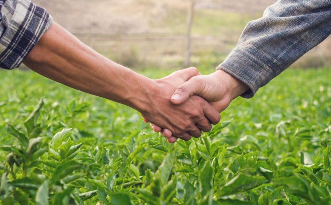 Partnership