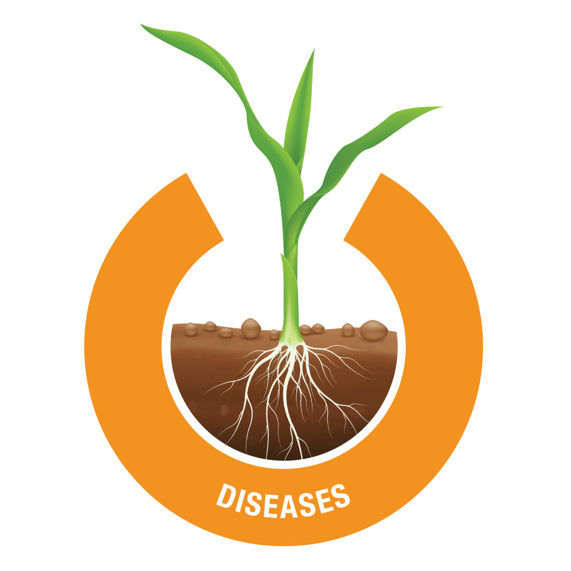 Diseases
