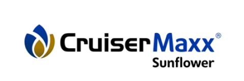 Cruiser Maxx Sunflower