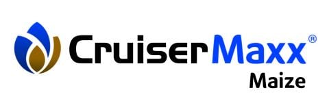 Cruiser Maxx Maize