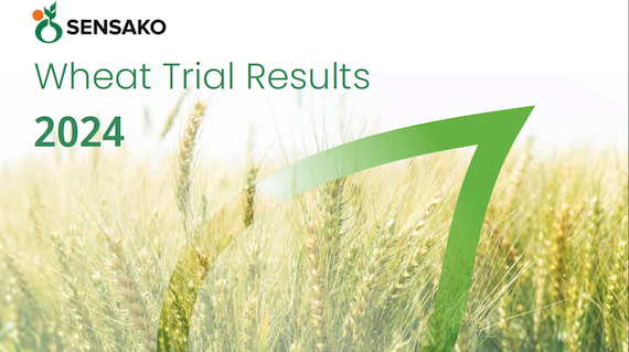 Wheat Trail Results