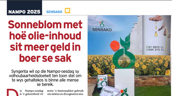media_5
