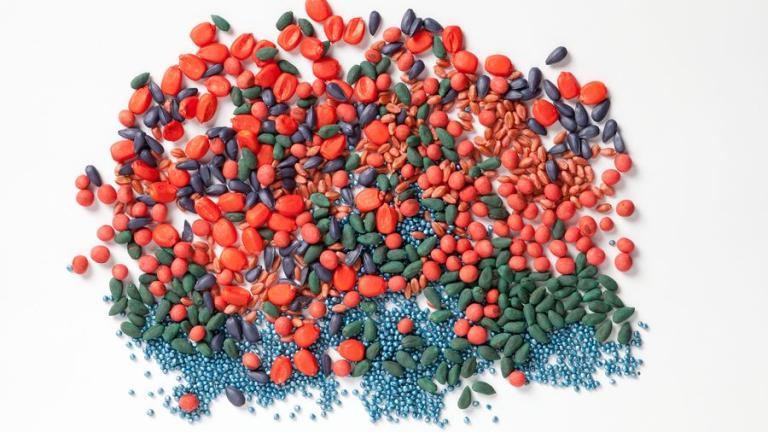 Coloured Treated Seeds