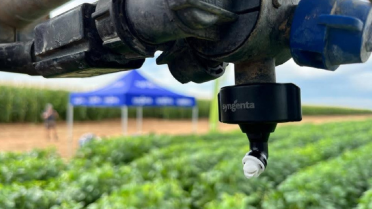 3D ninety in potato field