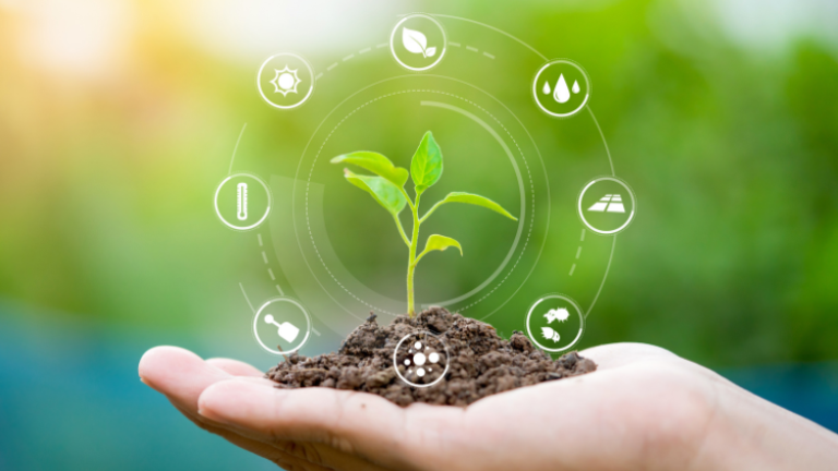 Soil health 