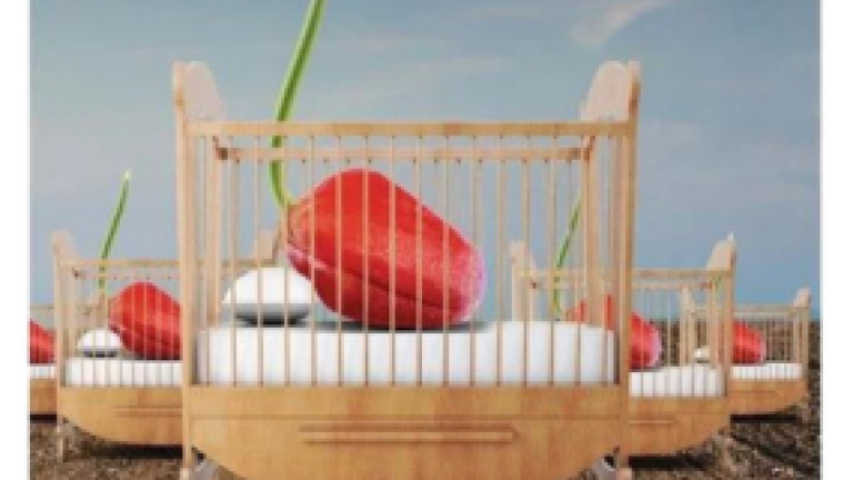 Protect your seedlings