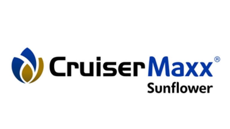 Cruiser Maxx Sunflower