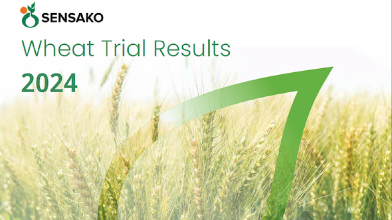 Wheat Trail Results