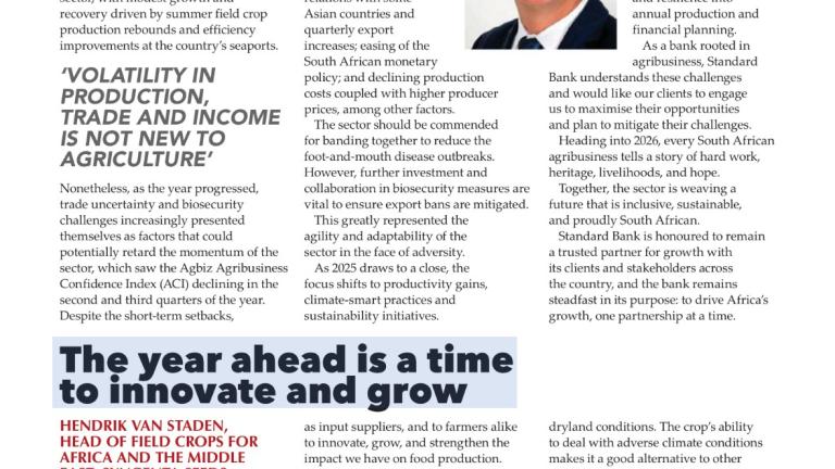 The year ahead a time to innovate and grow