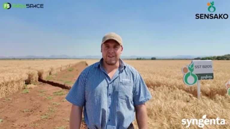 Hoekom is Sensako se kultivar die regte een vir jou?