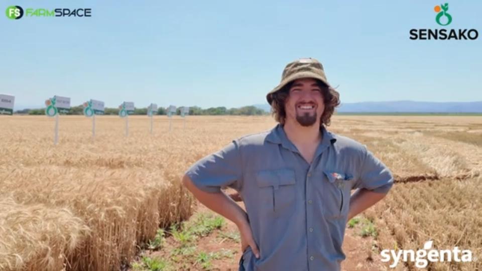 Syngenta Seeds | Syngenta