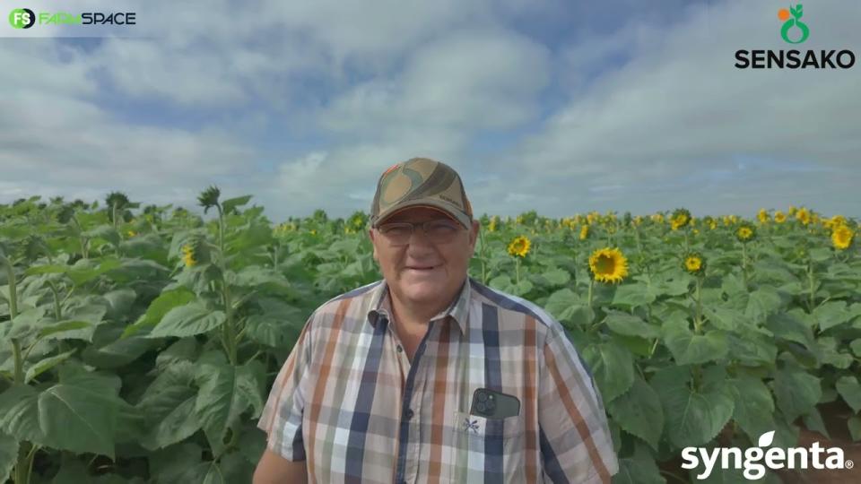 Syngenta Seeds | Syngenta