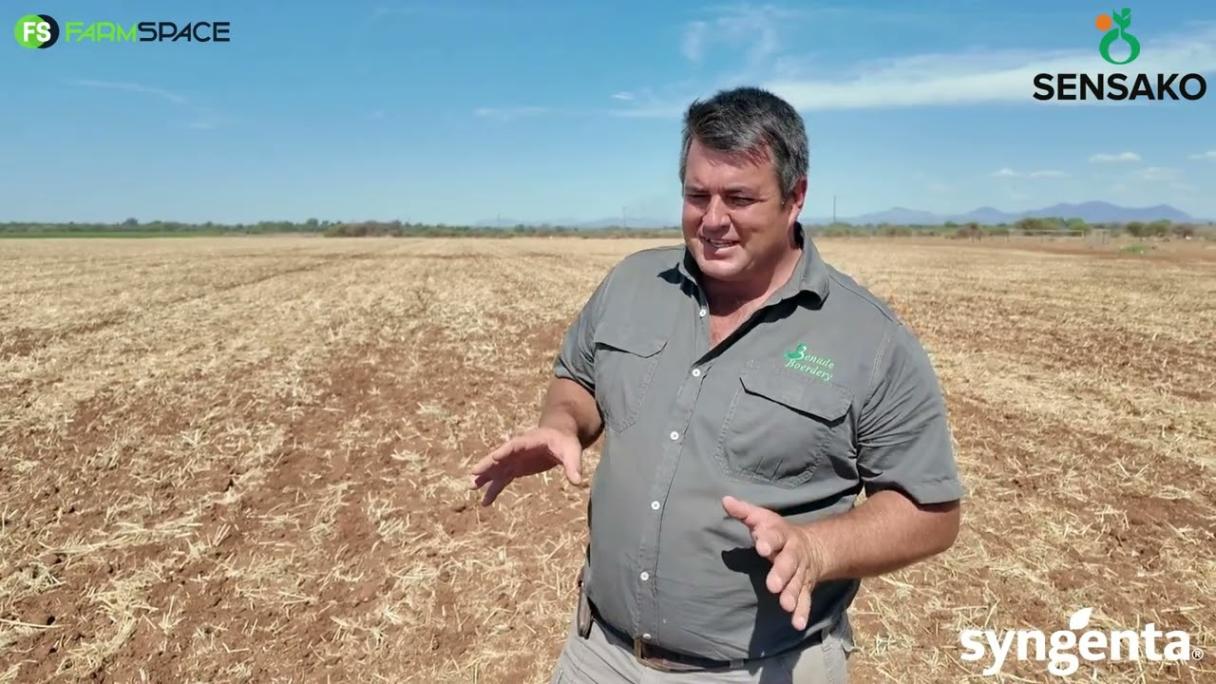 Syngenta Seeds | Syngenta