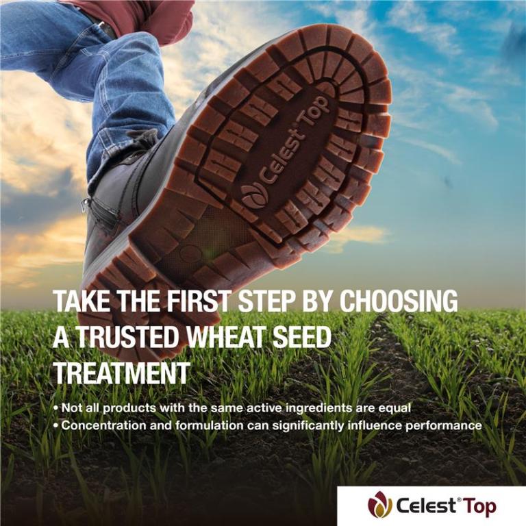 Celest Top - Trap Fusarium 
