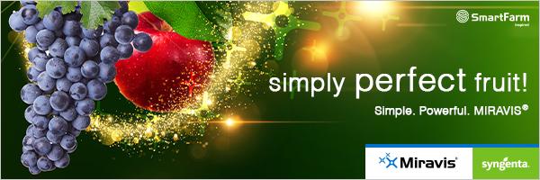 Miravis product launch - apples and grapes