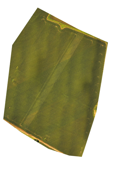 Field image for heat map