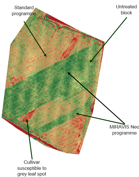 Heat map showing diseased areas and healthy areas