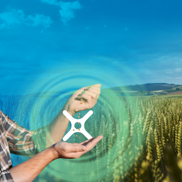 A banner with the title “Protect Your Investment”, in the background a healthy looking field can be seen with a pair of hands holding up the Miravis® Neo trademark X