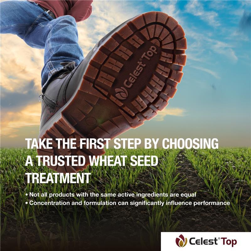 Celest Top - Trap Fusarium 