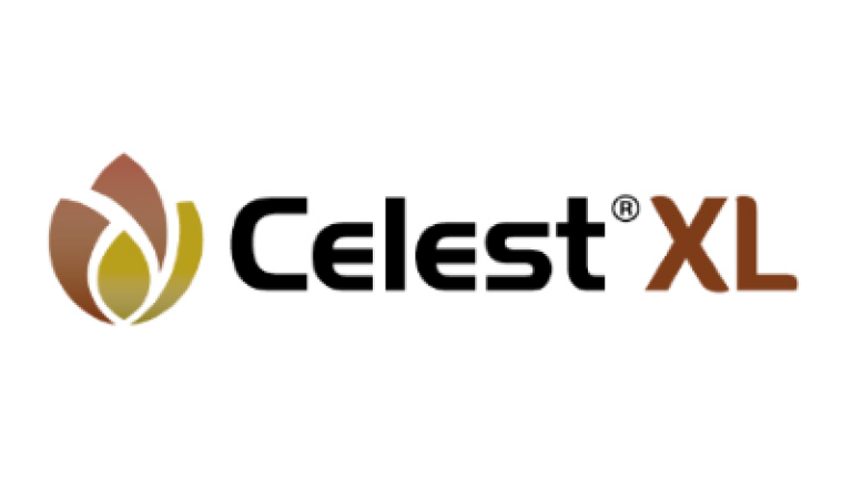 Celest XL Syngenta