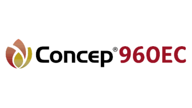 Concep 960 EC Syngenta