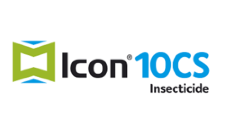 Icon thumbnail